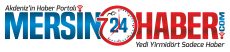 other/logo_30.png